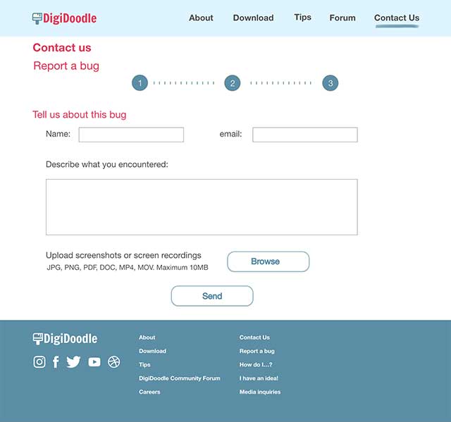 A web page for entering details of a bug report