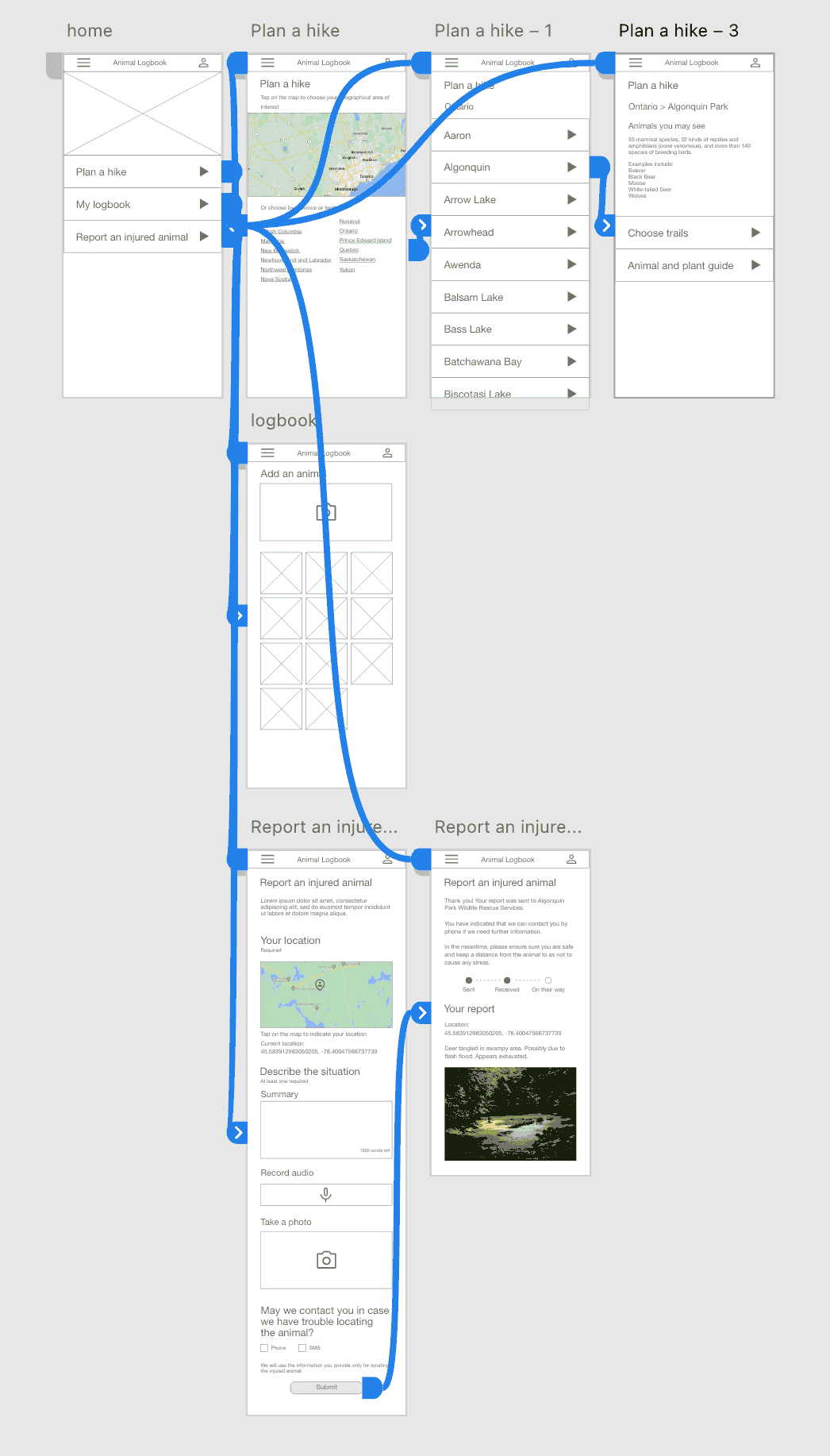 Wireframe mockups of various screens of a mobile app connected by blue lines denoting the user journey.